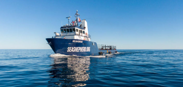 Sea Shepherd Adds New Ship to Operation Milagro
