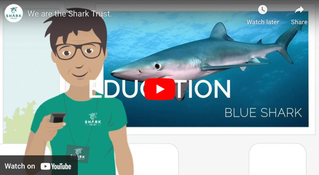 Shark Trust