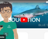 VIDEO: We Are The Shark Trust