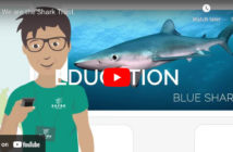 Shark Trust