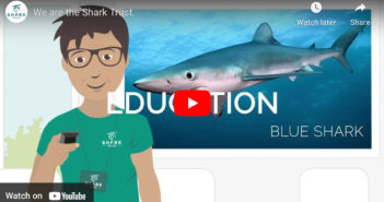 VIDEO: We Are The Shark Trust Shark Trust