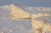 Shelf Ice