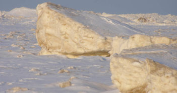 Shelf Ice