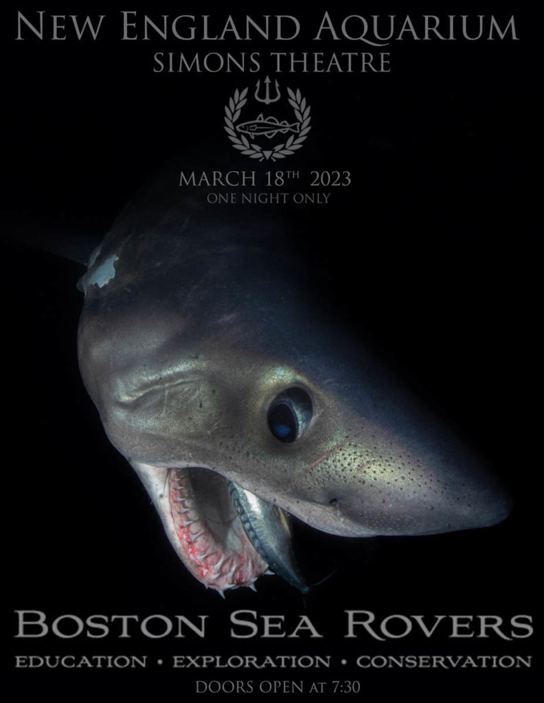 Boston Sea Rovers Film Festival