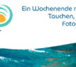 Dive Festival Bern