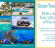 Dive Pirates Golden Ticket