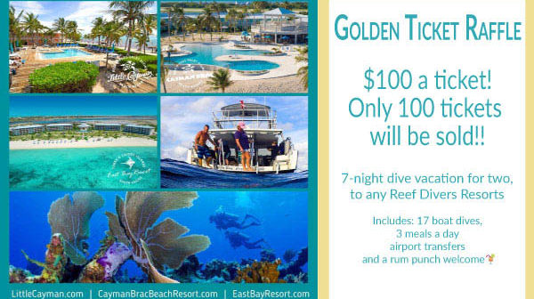 Dive Pirates Golden Ticket