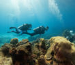Divers Underwater