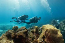Divers Underwater