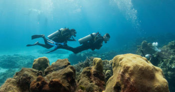 Divers Underwater