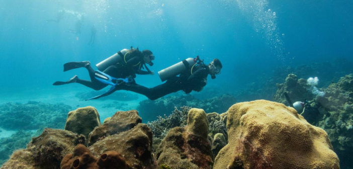 Divers Underwater