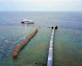 Southern Solitude – A Quieter Way to Dive the Red Sea