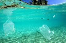 Ocean Plastic
