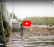 Saltwater Sean Documentary