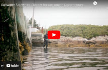Saltwater Sean Documentary