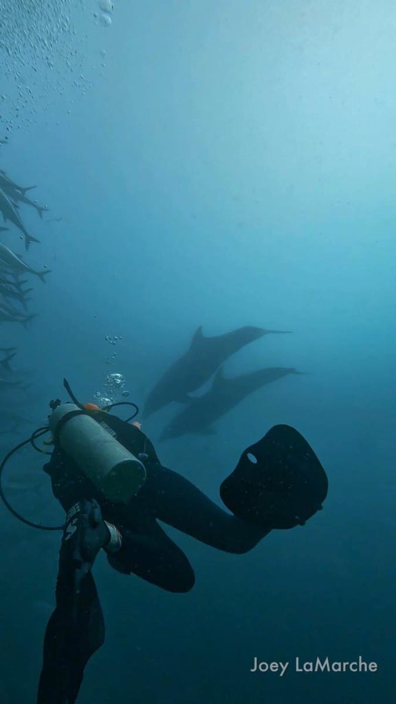 Zoe Martin, Gulf of California