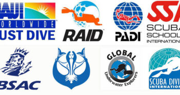 What Agency Should I Do My Instructor Course With? Agency Logos