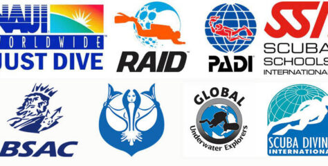 What Agency Should I Do My Instructor Course With?