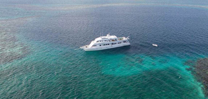 Check Out The Latest Liveaboard Travel Deals including the Red Sea, Belize, Maldives and Indonesia