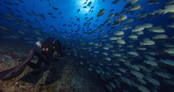 Rebreather Diving From the Perspective of Underwater Filming CCR For Filming