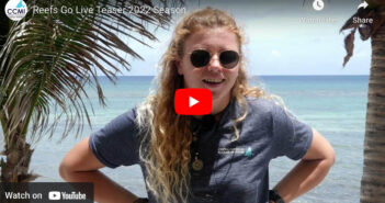 Central Caribbean Marine Institute Presents: Reefs Go Live 2023 Caribbean Marine Institute