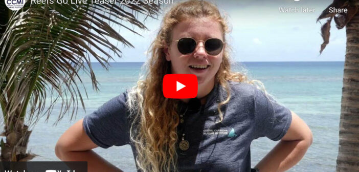 Central Caribbean Marine Institute Presents: Reefs Go Live 2023