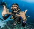 Diver Underwater