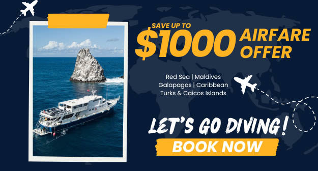 Flexible Flights Airfare Offer from Explorer Ventures Fleet® 