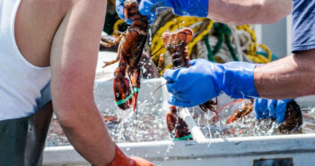 Lobstering