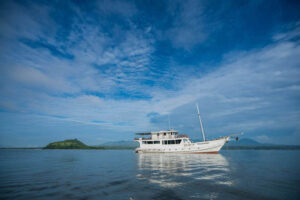 Oceanic, Indonesia
