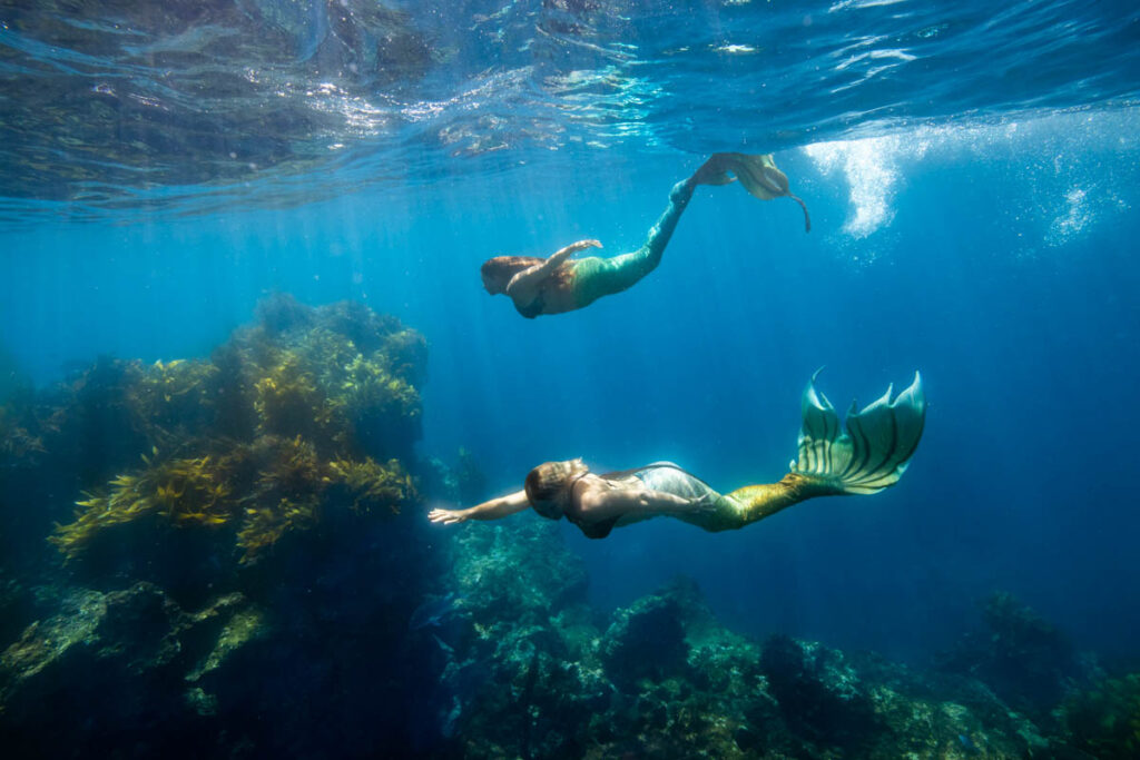 PADI Mermaids