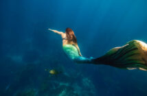 PADI Mermaids