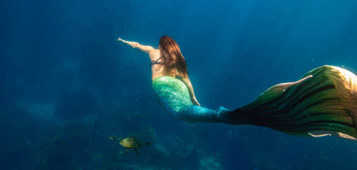 PADI Mermaids