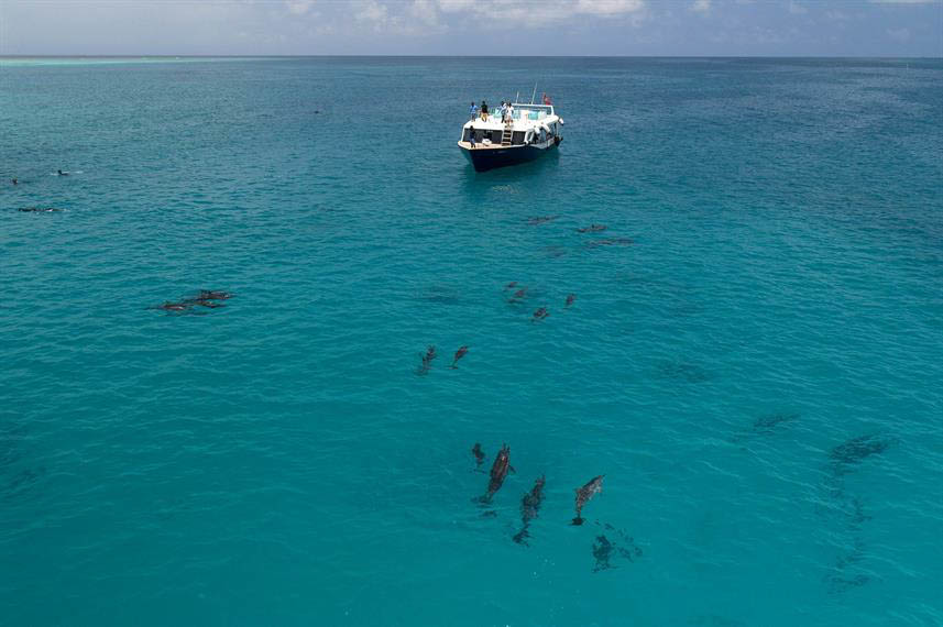 Scubaspa Yang, Maldives