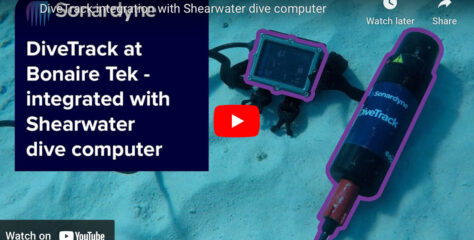 Shearwater and Sonardyne Partnership Allows Connection Between Petrel 2 and DiveCAN to DiveTrack