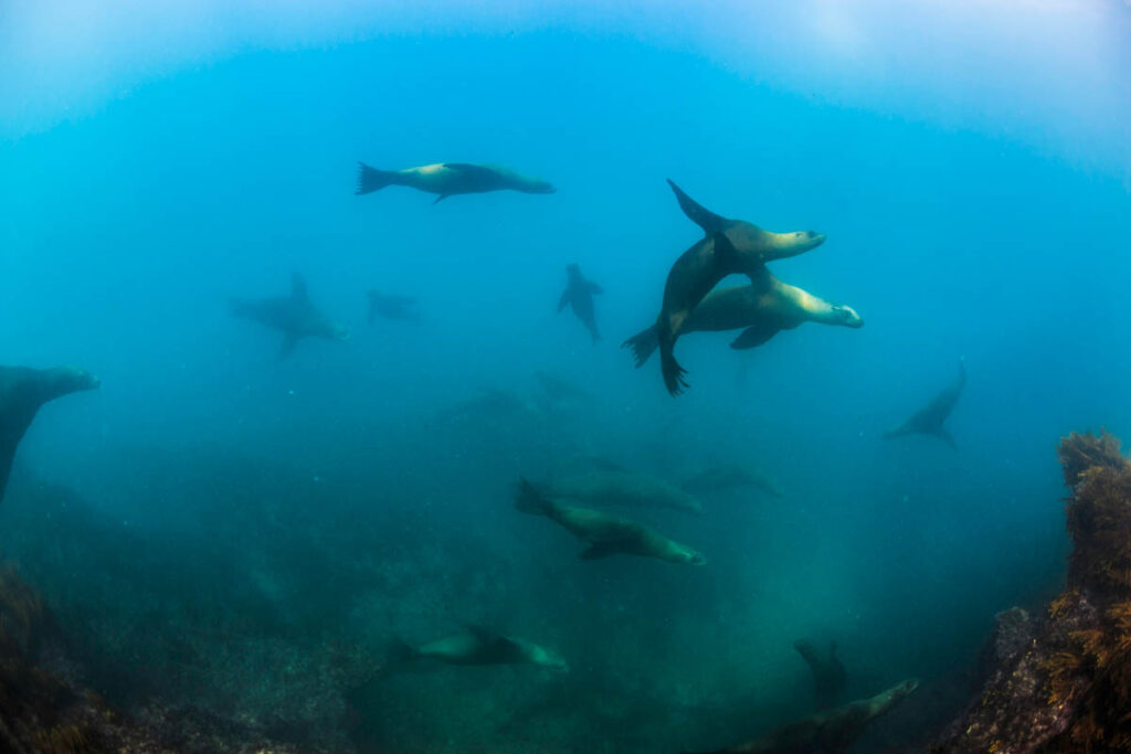 Bahía de Loreto National Park