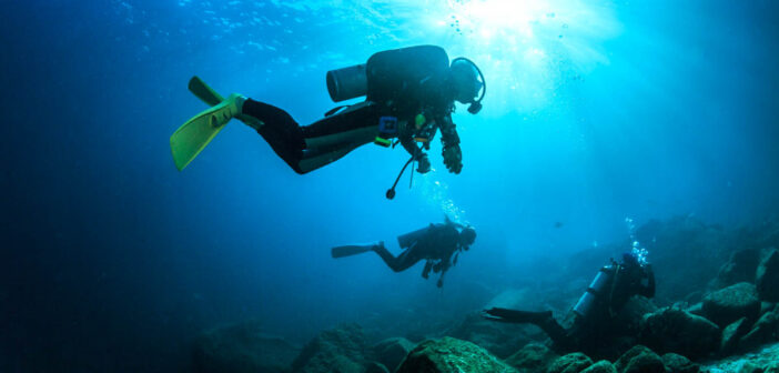 Bahía de Loreto National Park