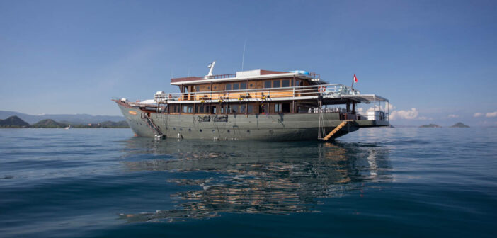 Emperor Divers Harmoni