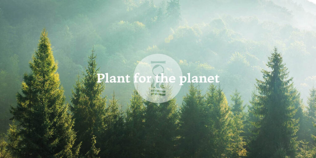 Fourth Element Tree Planting
