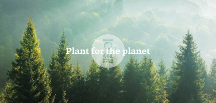 Fourth Element Tree Planting