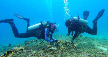 Gili Shark Conservation