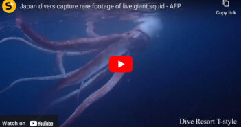 The Kraken is Real – And It’s Not Staying in the Deep