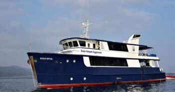 Raja Ampat Aggressor, Indonesia: 28th June 2024, Raja Ampat/Halmahera/Lembeh – 25% OFF Raja Ampat Aggressor