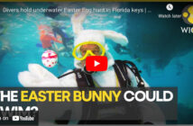 Scuba Diving Easter Bunny