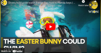 Scuba Diving Easter Bunny