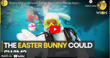 Divers Hold Underwater Easter Egg Hunt in Florida Keys Scuba Diving Easter Bunny