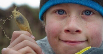 Take part in an Easter Egg Hunt with a Twist! Shark Trust Egg Hunt
