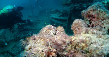 Uncover Egypt’s Underwater Marvels: Dive into Adventure with Irresistible Liveaboard Deals!
