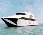 Liveaboard Adventure in Saudi Arabia – Five Corals and Seven Sisters
