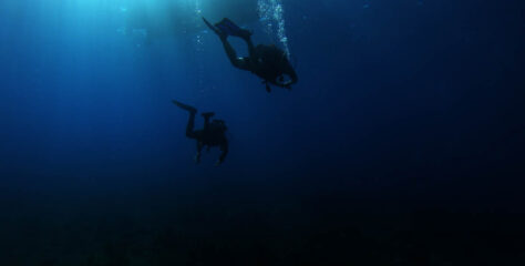 Exploring an Underwater Paradise: Scuba Diving in the Cayman Islands